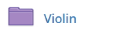 Violin